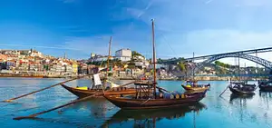 Full Day Porto City Tour