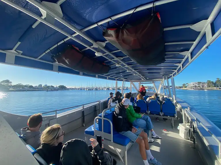 Mooloolaba Whale Watching Cruise | 2-Hour Ocean Adventure