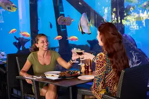 Cairns Aquarium by Twilight Tour + Dining Experience