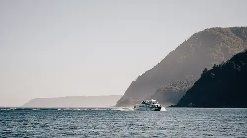 Milford Sound Cruise & Milford Track Walk