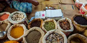 Northern India: Riverside Safaris, Ancient Fortresses & The Taj Mahal