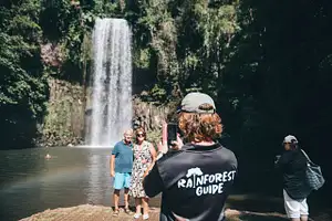 Millaa Millaa Falls Waterfall Swim Atherton Tablelands Cairns Tour