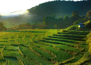 Half Day Elephant Care Program | From Chiang Mai