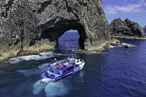 Cream Trip Super Cruise with Hole in the Rock | A Day in the Bay