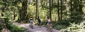 Vancouver epic electric cycling tour - E-bike tour