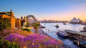 Sydney Harbour Lunch Cruise deals