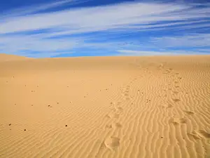 Day Trip to Sahara Sand Dunes and Paradise Valley | From Agadir