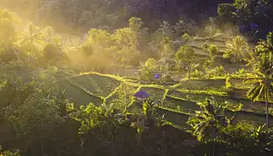 19 Day Epic Indonesia Tour Canggu to Labuan Bajo | Intro Travel